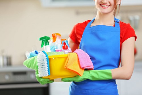 Domestic cleaning service for Maida Vale flats and period homes
