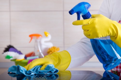 Kitchen and appliance cleaning for a Maida Vale rental property