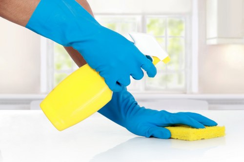 Gutter cleaning on a residential property in Maida Vale