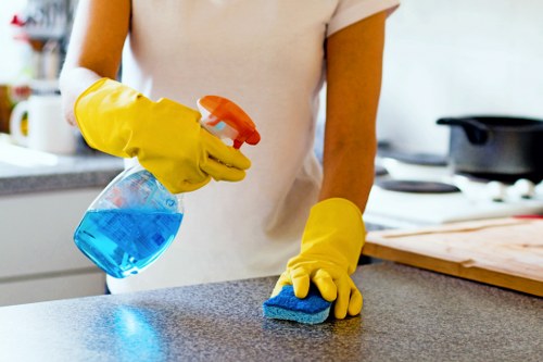 Deep cleaning support for a Maida Vale family home