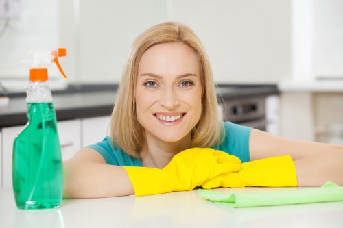 Move in cleaning service for a Maida Vale flat interior