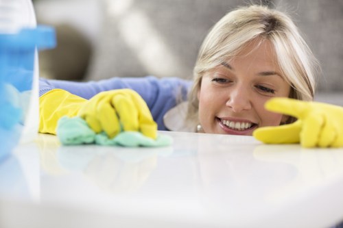Cleaner treating stains on a residential carpet in Maida Vale