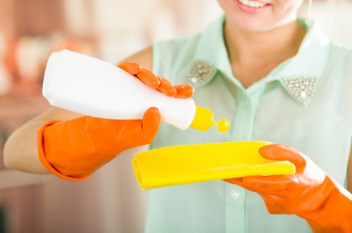 Deep cleaning process for pet odour removal in a Maida Vale home