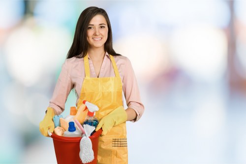 Fair review of a cleaning service concern