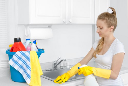 Professional cleaning of kitchen cupboards before moving into a Maida Vale property