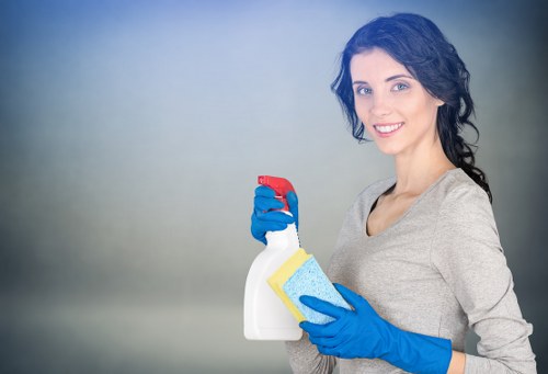 Local mattress cleaning equipment used in Maida Vale