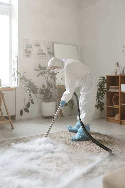 A professional cleaner dressed in white protective clothing, including a hood, face mask, gloves, and blue shoe covers, is performing deep cleaning on a beige fluffy area rug using a vacuum or steam cleaning tool. The room has white walls, a large window allowing natural light, and several potted plants with broad green leaves. In the background, there is a wooden shelf unit with decorative items and a white framed board on the wall. The surfaces, including the plush carpet, appear thoroughly cleaned and well-maintained, reflecting a hygienic and sanitized environment. This image illustrates domestic cleaning services offered by Maida Vale Cleaners as part of their comprehensive surface cleaning and sanitisation solutions in residential settings.